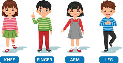 Children pointing at body parts illustration, educational cartoon, anatomy learning, finger, arm, knee, leg, preschool health, school teaching aid
