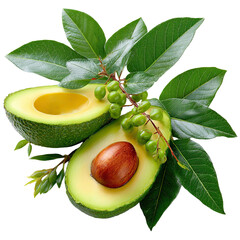 Fresh Avocado Halves with Seed and Green Leaves Isolated on Black Background, Close-up Studio Shot of Ripe Avocado Fruit, Healthy Eating and Vegetarian Food Concept, High Resolution Image