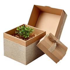 Elegant Gift Box with Small Plant and Ribbon, Sustainable Packaging Concept, Eco-Friendly Gift, Natural Materials, Brown Tones, Minimalist Design, Isolated on Black Background, Perfect for Special