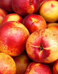 Several ripe red summer nectarines. a heavenly peach.붉게 잘익은 여러개의 여름과일 천도복숭아 赤くよく熟した夏のネクタリンがいくつか。