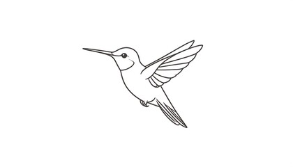 Fototapeta premium Flying hummingbird outline