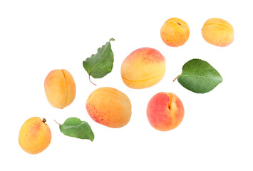 Fresh juicy apricots flying against white background