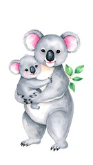 Cute koala mom and baby