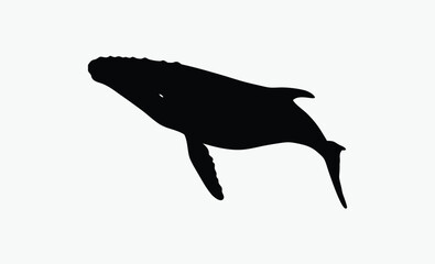 Whale silhouette, Whale black silhouette icon vector isolated on a white background, Whale black silhouette graphic design element