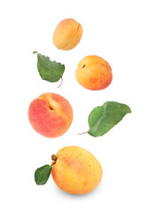Fresh juicy apricots falling against white background