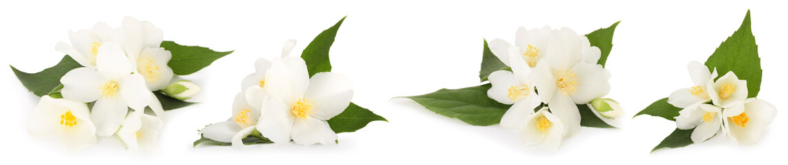 Obraz premium Fragrant jasmine flowers and leaves isolated on white, set