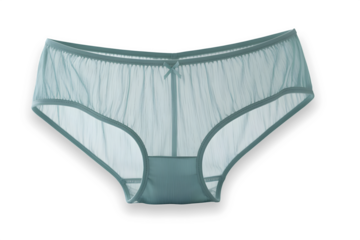 Lavender colour female panties isolated on transparent background. New design ladies clothes for womens. 