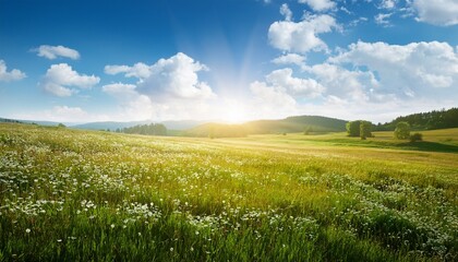 Fototapeta premium sunny meadow landscape
