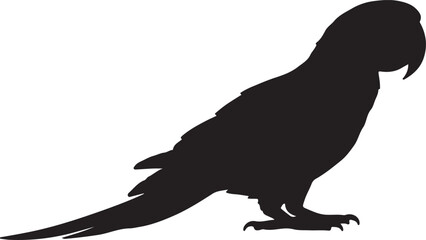 Red and Green Macaw Solid Vector Silhouette