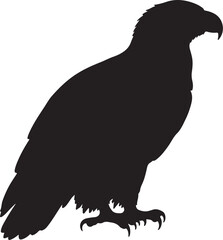 White-Tailed Eagle Solid Vector Silhouette