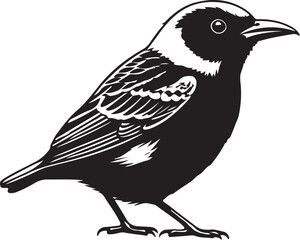 Yellow-Throated Miner Solid Vector Silhouette