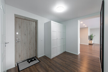 Home Entrance Hall. Interior. Wooden White Door, Brown Flooring and White Wardrobe.