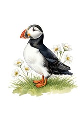 Naklejka premium Atlantic Puffin and Wildflowers - A charming illustration of a single Atlantic puffin perched amidst white wildflowers on a grassy cliff.
