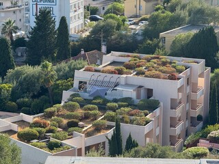 Toit v&eacute;g&eacute;talis&eacute;