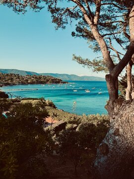 Bormes les Mimosas