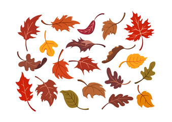 Set of Autumn Falling Leaves of various shapes drawn in a colorful and whimsical style with an animated look. Illustrated Fall foliage set isolated for use in designs and decorations