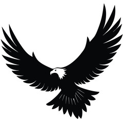 Obraz premium Majestic bald eagle in mid flight wings spread bird