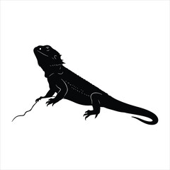 Bearded dragon silhouette vector 