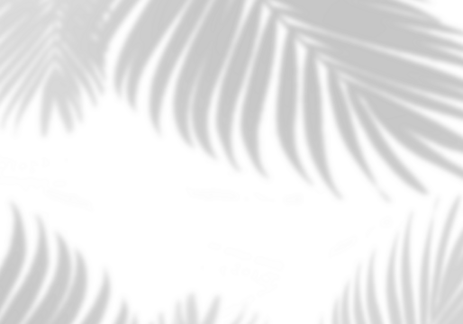 Blurry Palm Leaf Shadows for Creative Projects, Sunlight Through Tropical Leaves Overlay Effect