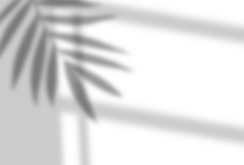 Soft Natural Leaf and window Shadow Texture Background, Soft Focus Leaf Shadow Pattern for Design Projects