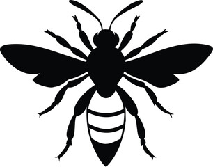 Fototapeta premium Detailed black silhouette of a bee