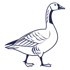 A duck vector illustration with a white background.