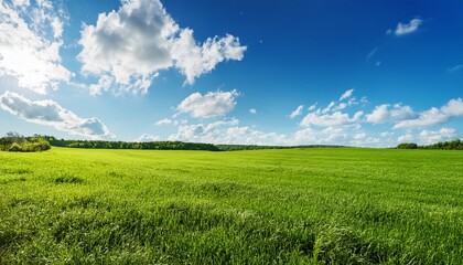 Obraz premium scenic green grassy field under a clear blue sky with puffy white clouds on a sunny morning
