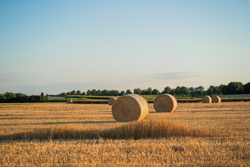 Field with hay bales at sunset. Summer harvest landscape. Wheat. © Kristina89