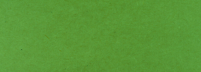green paper texture
