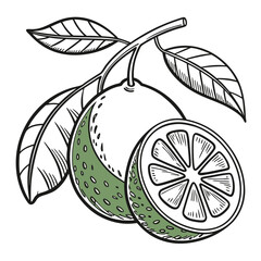 indonesian with leaves