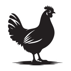 Obraz premium Simple black silhouette of a farm chicken standing proudly