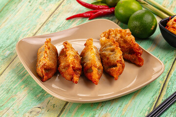 Asian fried stuffed dumplings gyoza