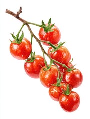 branch of fresh cherry tomatoes isolated on white 