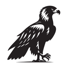 Majestic eagle in a striking silhouette design