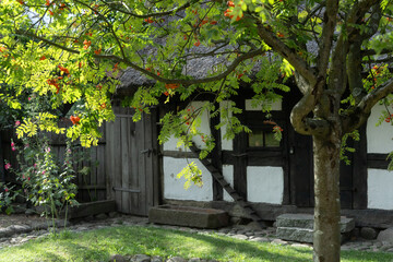 Stare zabudowania, domy szachulcowe z elementami roślinnymi, kwiatami i drzewkami.  © Magdalena