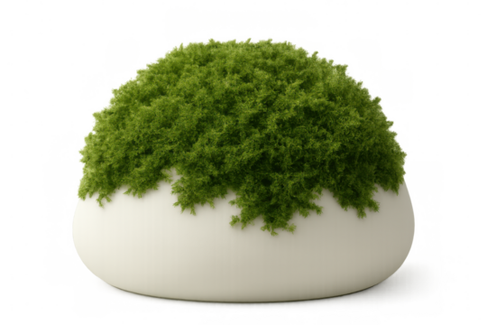 Green botanical element growing in sleek white oval container, minimalist design featuring clean background ideal for digital compositing and contemporary interior styling