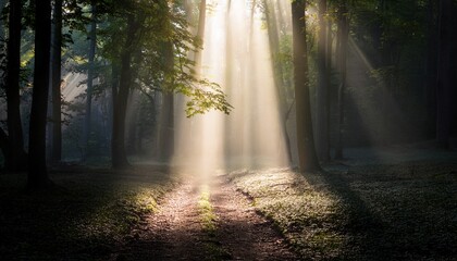 Fototapeta premium ethereal light beam emerging from a dark misty environment creating a dramatic and mysterious atmosphere