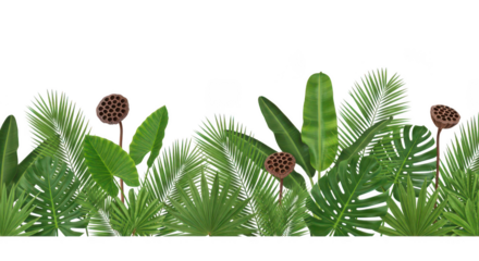 Lush green tropical foliage border isolated on transparent background