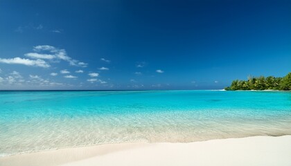 Fototapeta premium serene beach tranquil turquoise waters and clear skies for perfect tropical relaxation escape