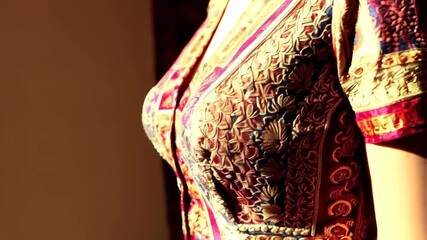 Close up of ornate traditional blouse or dress with buttons, pink, red, blue and gold fabric with decorative patterned embroidery detail - Powered by Adobe