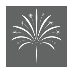 Elegant Silver Fireworks with Delicate Light Streaks