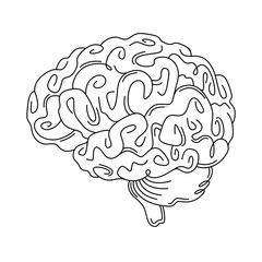 Human brain. Open brain.Line art isolated icon symbol.Drawing vector illustration.