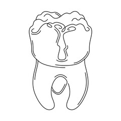 Image of a molar.Tooth. Line art isolated icon symbol.Drawing vector illustration.