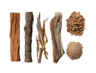 Natural wood varieties display forest rustic textures isolated on transparent background, png