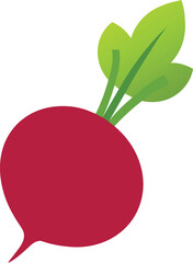 Vector illustration of a beetroot 