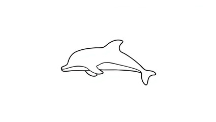 Dolphin with Baby Dolphin Leaping Together

