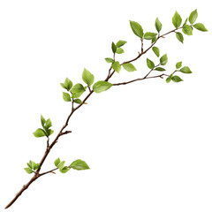Naklejka premium Delicate branch of green leaves with a transparent background illustrating natural growth