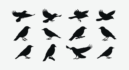 Obraz premium Silhouette Symphony: A Collection of Black Bird Silhouettes in Flight and Perched, Captivating Bird Silhouettes for Graphic Design and Artistic Compositions