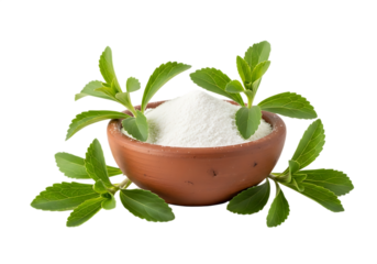 Stevia leaves and plant with a bowl of natural sweetener powder, Isolated on transparent background.

