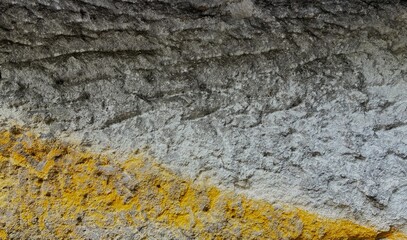 Gray old concrete wall with yellow fungus. Texture.